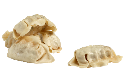 Gyoza Dumpling vegan