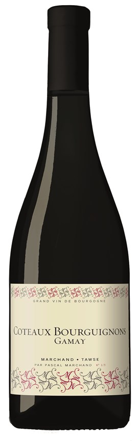 Marchand-Tawse Coteaux Bourguignons Gamay